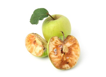 Photo of Spoiled and good apples isolated on white