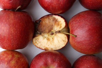 Photo of Spoiled apple and good ones on white background, flat lay