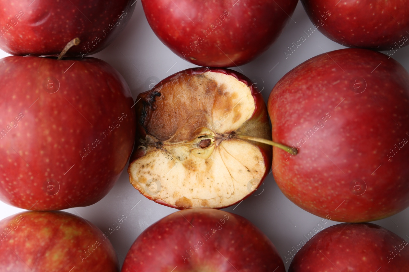 Spoiled apple and good ones on white background, flat lay Photo of Spoiled apple and good ones on white background, flat lay