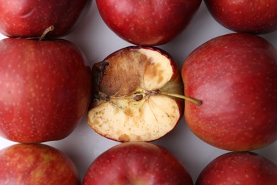 Photo of Spoiled apple and good ones on white background, flat lay