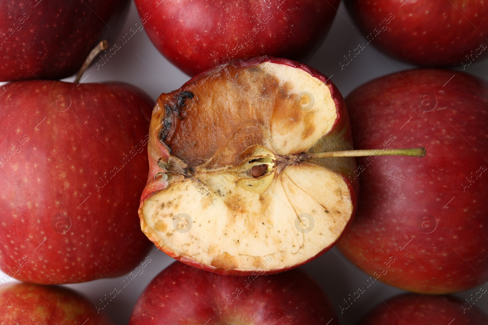 Photo of Spoiled apple and good ones on white background, flat lay