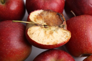 Photo of Spoiled apple and good ones on white background, closeup