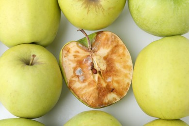 Photo of Spoiled apple and good ones on white background, flat lay