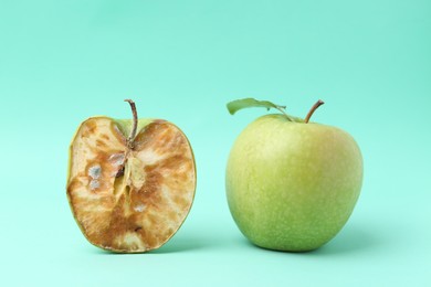 Photo of Spoiled apple and good ones on turquoise background