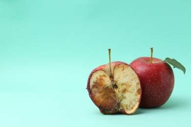 Photo of Spoiled apple and good ones on turquoise background. Space for text