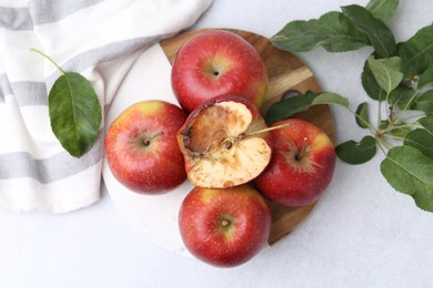 Photo of Spoiled apple and good ones on white table, flat lay