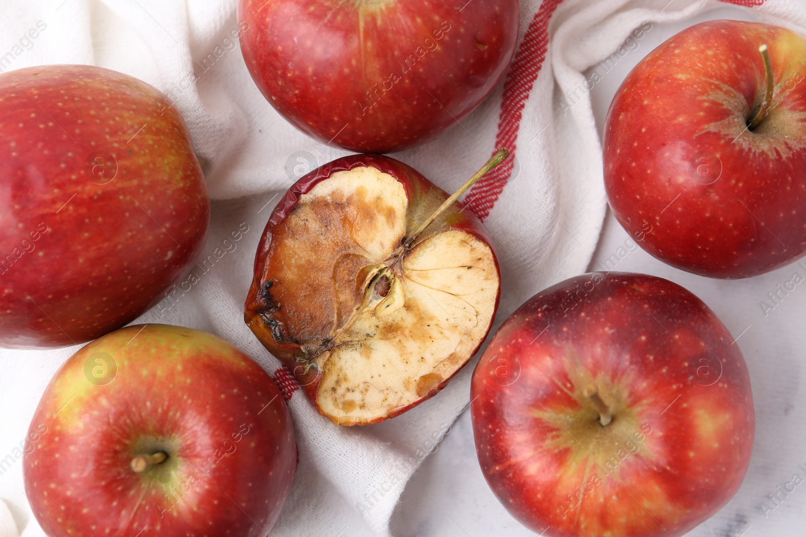 Spoiled apple and good ones on white table, flat lay Photo of Spoiled apple and good ones on white table, flat lay