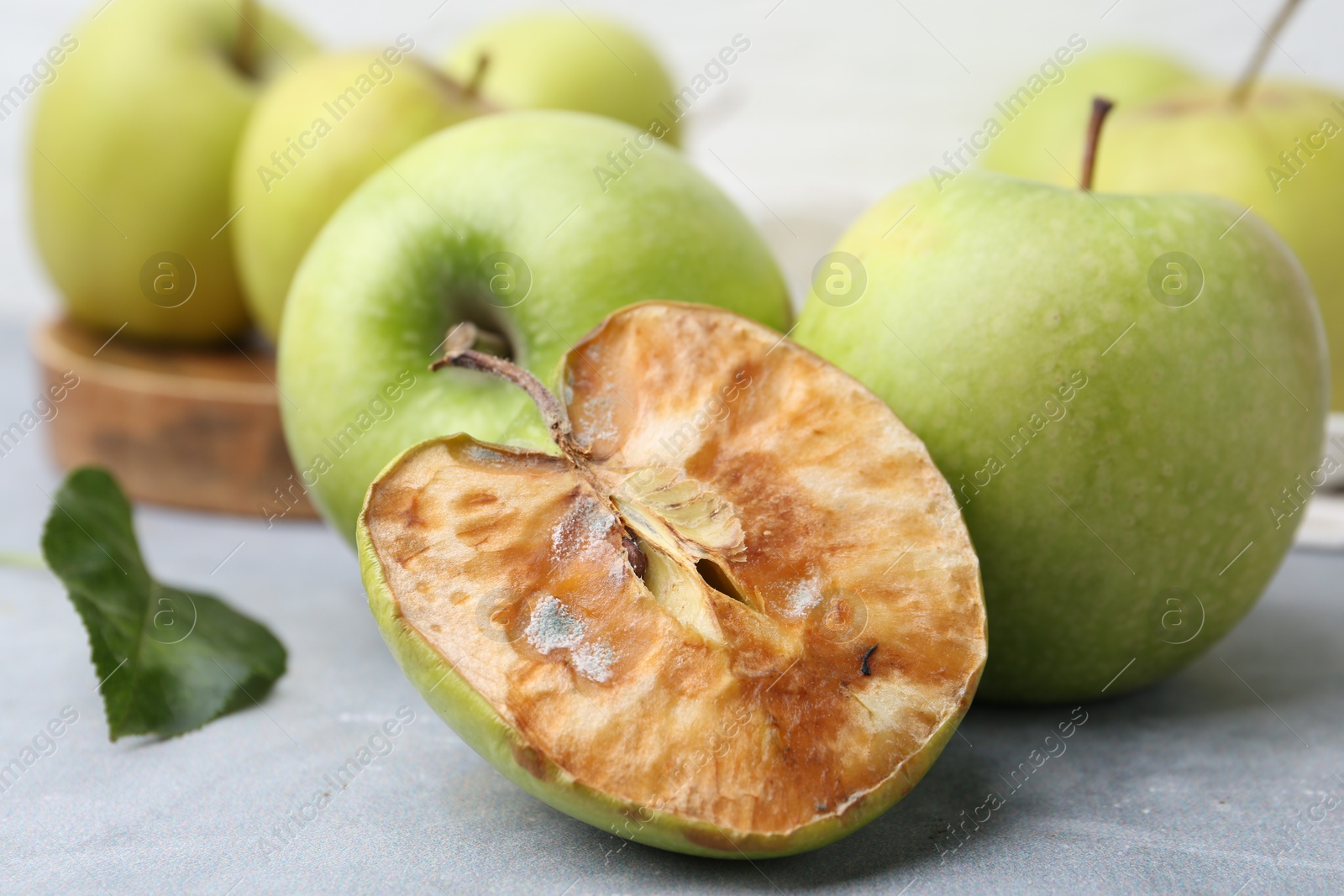 Spoiled apple and good ones on grey table, closeup Photo of Spoiled apple and good ones on grey table, closeup