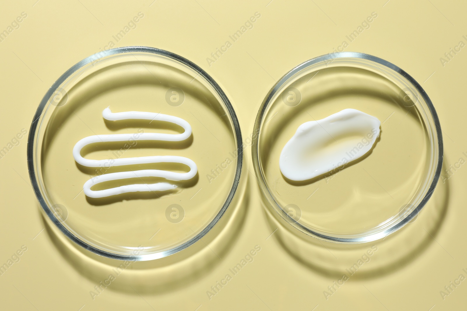 Different cosmetic products in Petri dishes on pale yellow background, flat lay Photo of Different cosmetic products in Petri dishes on pale yellow background, flat lay