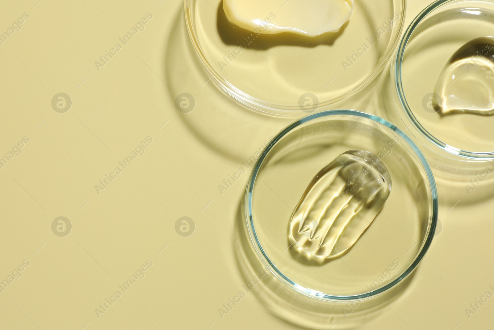 Different cosmetic products in Petri dishes on pale yellow background, flat lay. Space for text Photo of Different cosmetic products in Petri dishes on pale yellow background, flat lay. Space for text