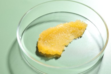 Photo of Cosmetic product in Petri dish on green background, closeup