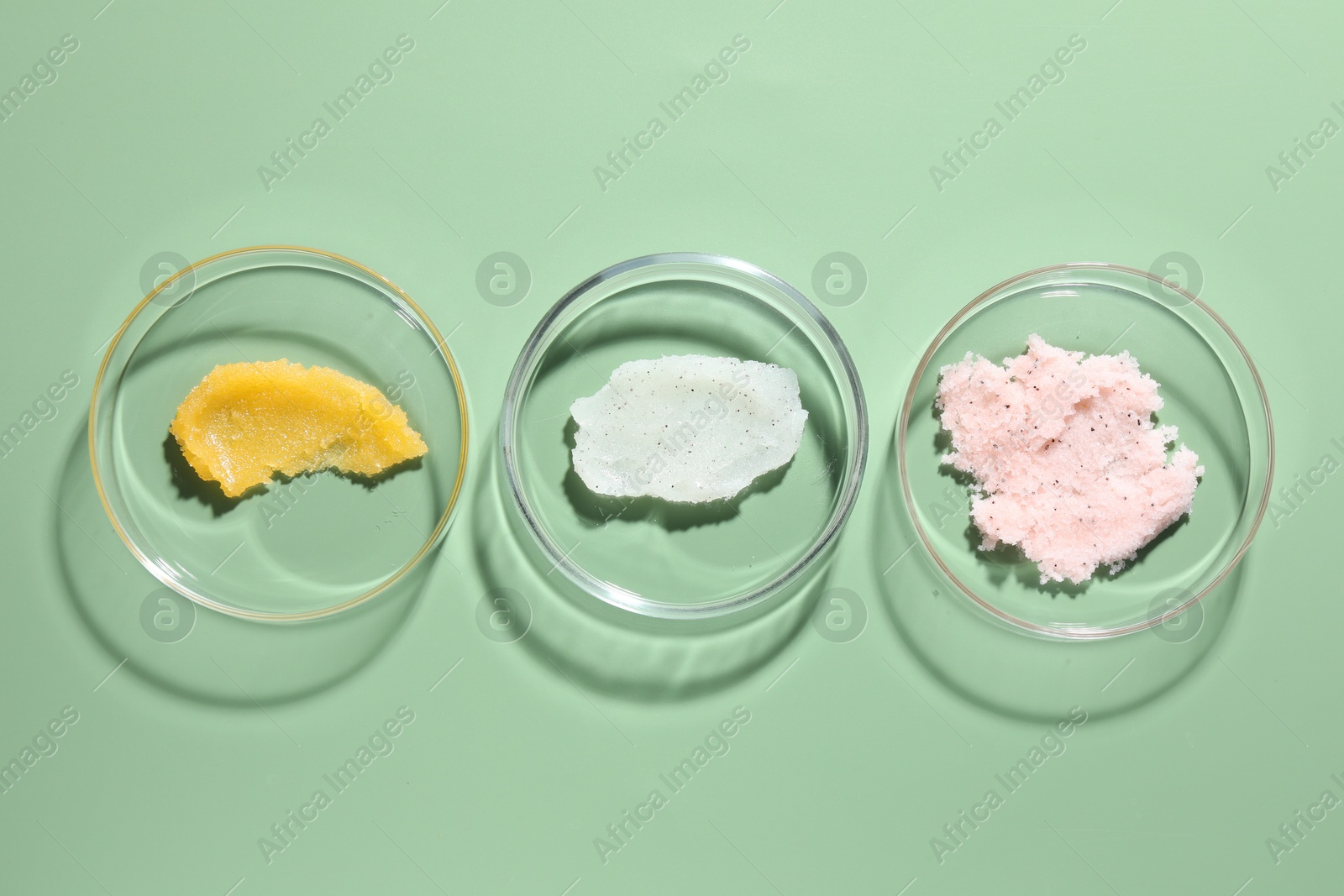 Different cosmetic products in Petri dishes on green background, flat lay Photo of Different cosmetic products in Petri dishes on green background, flat lay