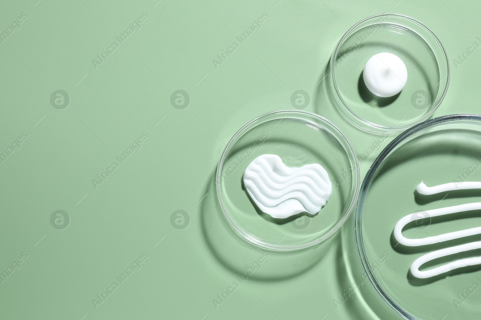Different cosmetic products in Petri dishes on green background, flat lay. Space for text Photo of Different cosmetic products in Petri dishes on green background, flat lay. Space for text