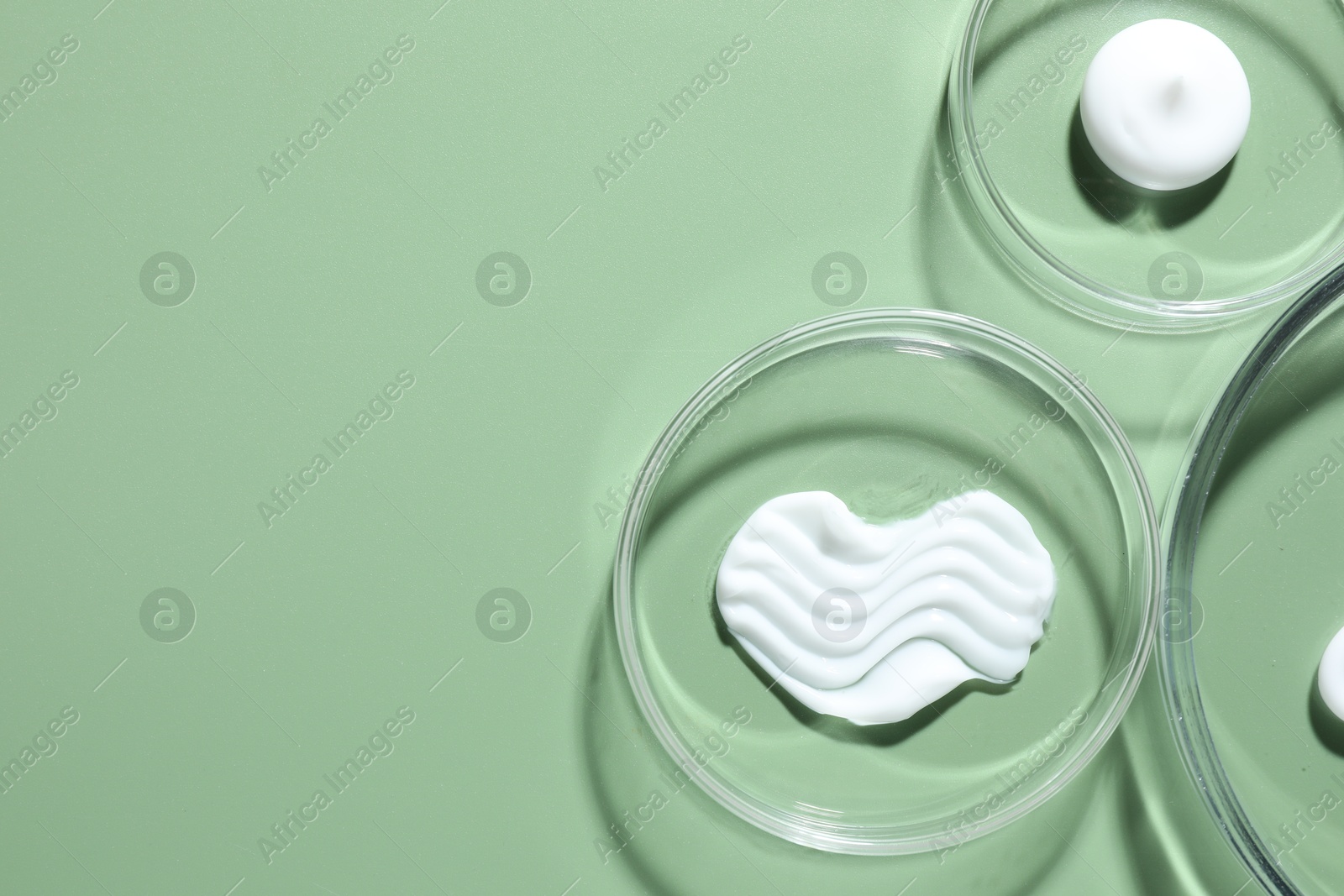Different cosmetic products in Petri dishes on green background, flat lay. Space for text Photo of Different cosmetic products in Petri dishes on green background, flat lay. Space for text
