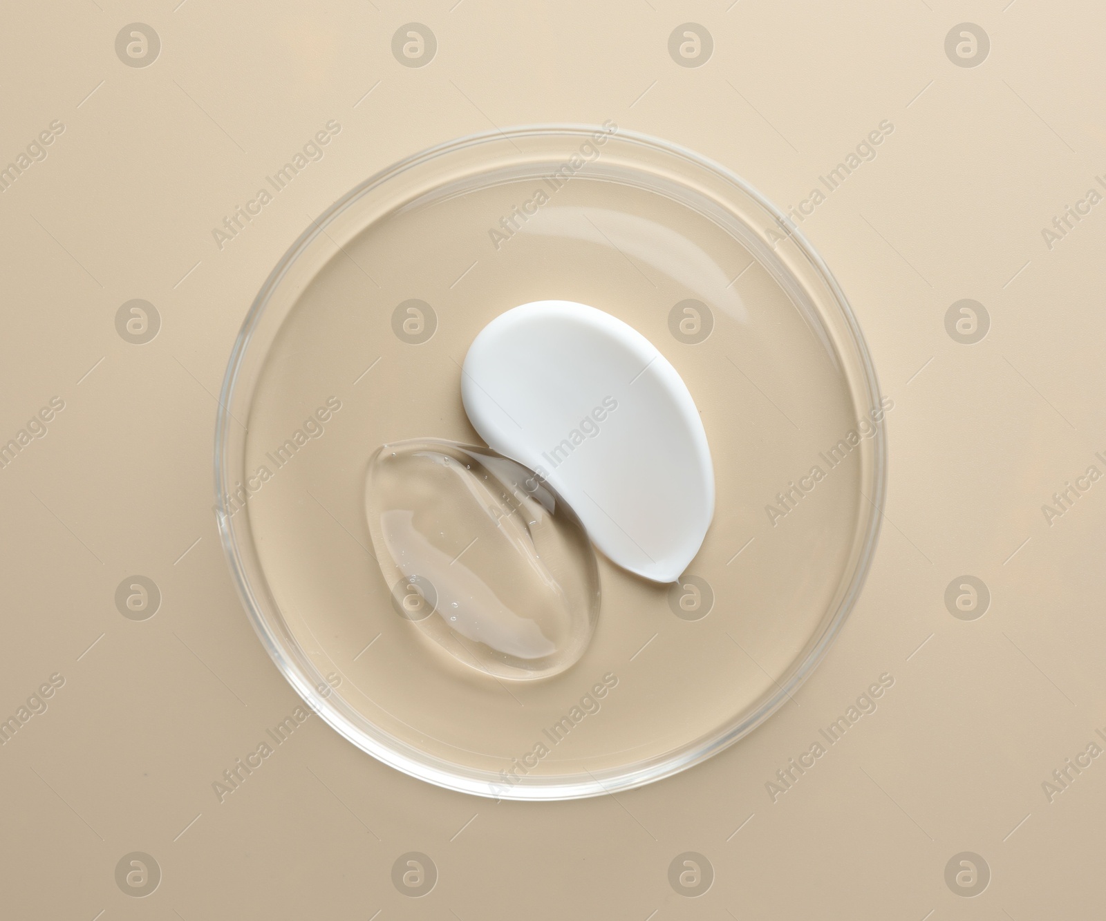 Different cosmetic products in Petri dish on beige background, top view Photo of Different cosmetic products in Petri dish on beige background, top view