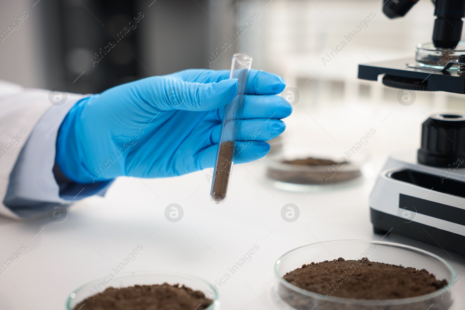 Scientist with test tube of soil sample at white table in laboratory, closeup Photo of Scientist with test tube of soil sample at white table in laboratory, closeup