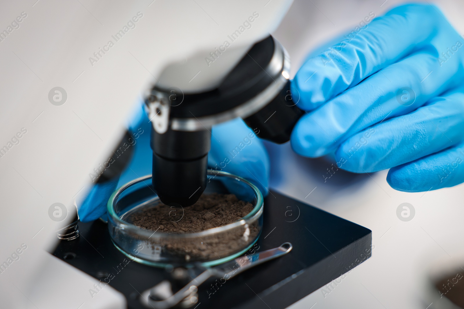 Scientist examining soil sample under microscope in laboratory, closeup Photo of Scientist examining soil sample under microscope in laboratory, closeup