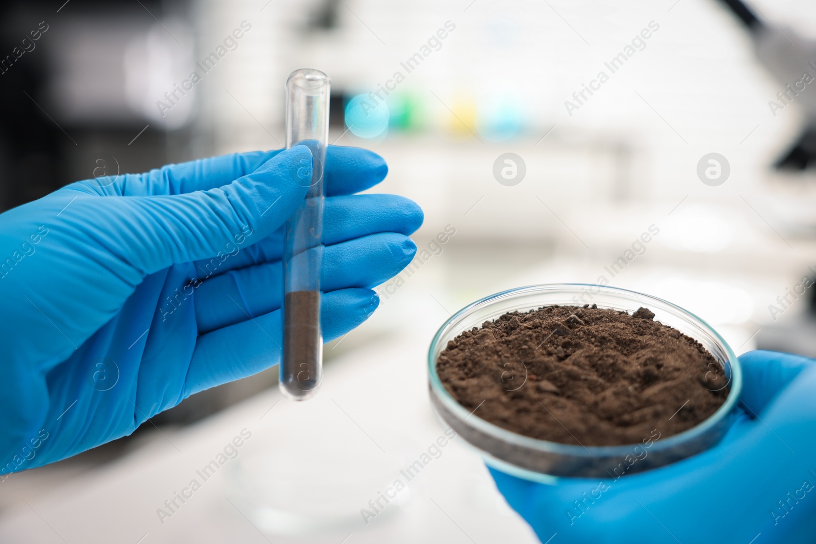 Scientist holding Petri dish with soil sample and test tube in laboratory, closeup Photo of Scientist holding Petri dish with soil sample and test tube in laboratory, closeup