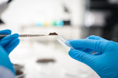 Photo of Scientist taking soil sample for research in laboratory, closeup