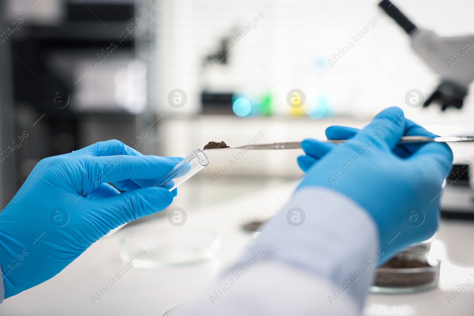 Scientist taking soil sample for research at table in laboratory, closeup Photo of Scientist taking soil sample for research at table in laboratory, closeup