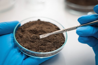 Photo of Scientist taking soil sample for research at table in laboratory, closeup