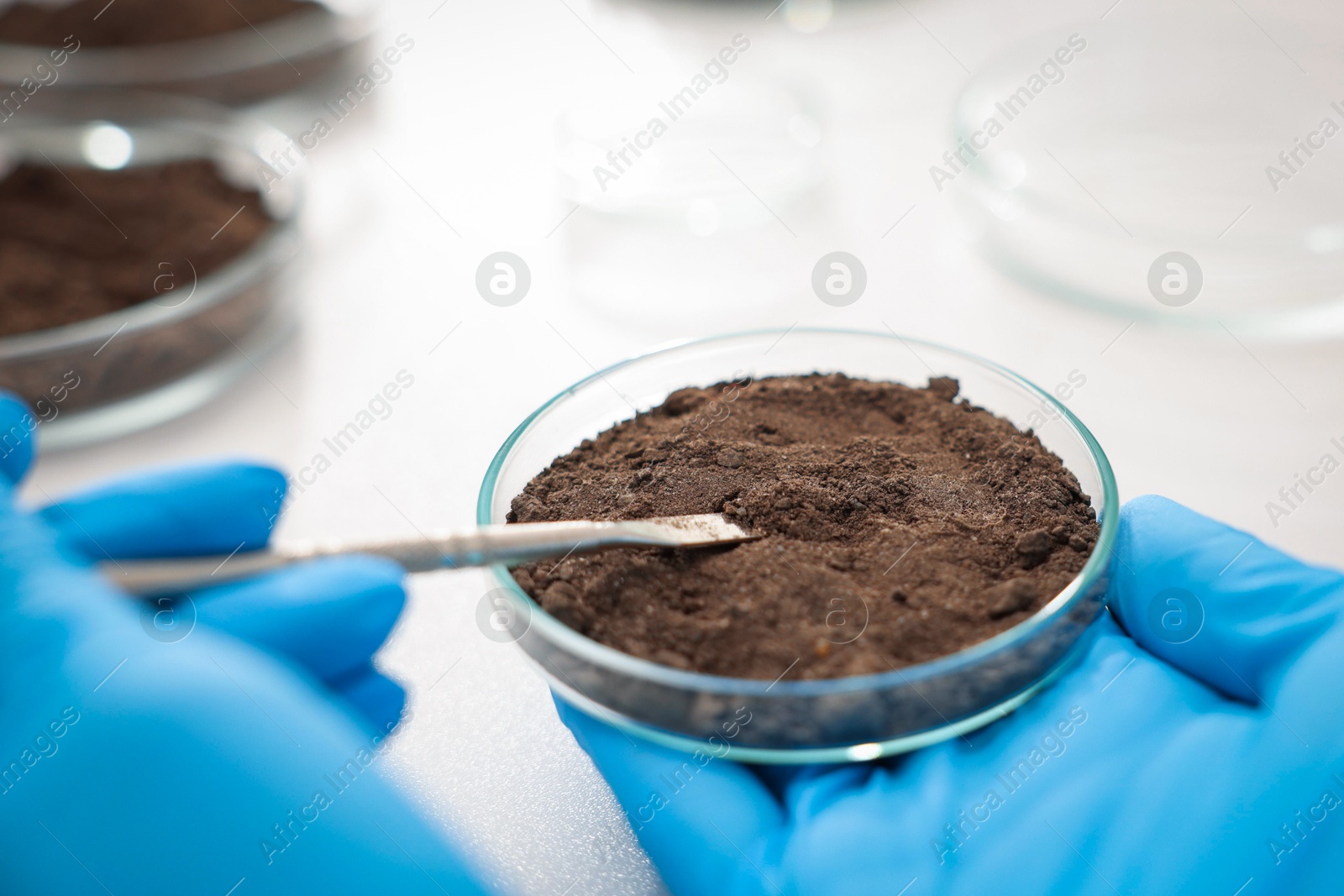 Scientist taking soil sample for research at table in laboratory, closeup Photo of Scientist taking soil sample for research at table in laboratory, closeup