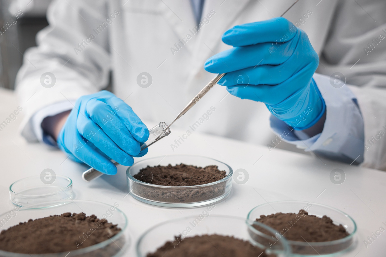 Scientist taking soil sample for research at white table in laboratory, closeup Photo of Scientist taking soil sample for research at white table in laboratory, closeup