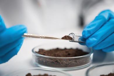 Photo of Scientist taking soil sample for research at table in laboratory, closeup