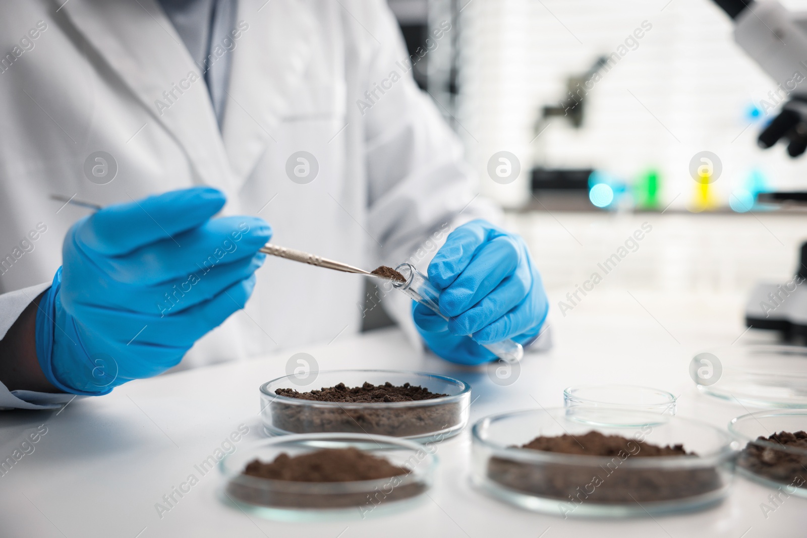Scientist taking soil sample for research at white table in laboratory, closeup Photo of Scientist taking soil sample for research at white table in laboratory, closeup