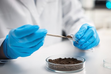 Photo of Scientist taking soil sample for research at white table in laboratory, closeup