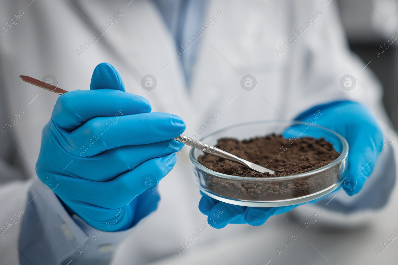 Scientist taking soil sample for research at table in laboratory, closeup Photo of Scientist taking soil sample for research at table in laboratory, closeup