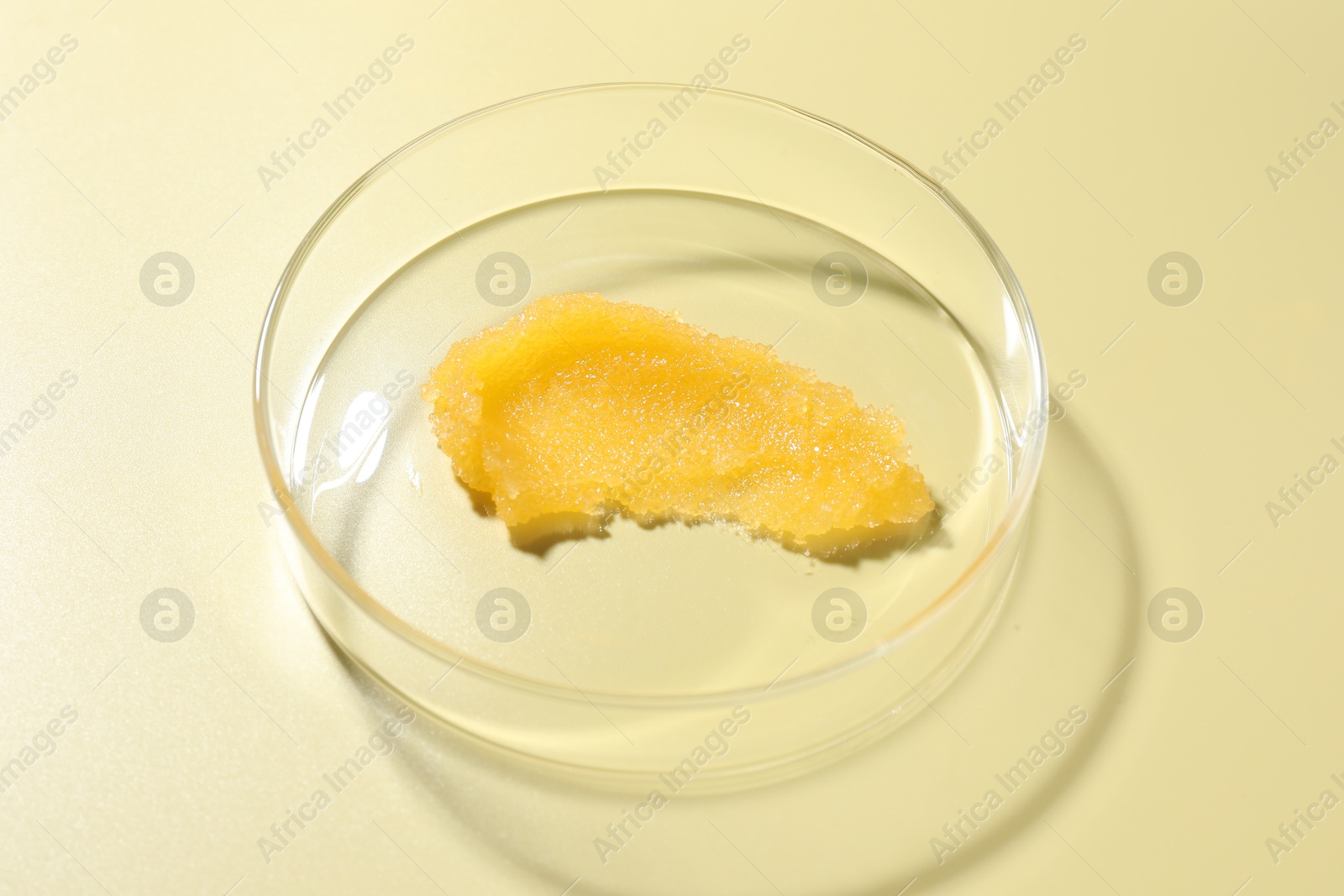 Cosmetic product in Petri dish on pale yellow background, above view Photo of Cosmetic product in Petri dish on pale yellow background, above view