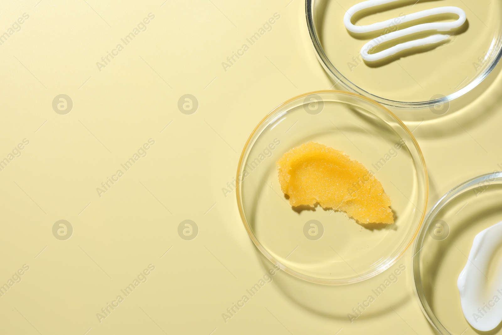 Different cosmetic products in Petri dishes on pale yellow background, flat lay. Space for text Photo of Different cosmetic products in Petri dishes on pale yellow background, flat lay. Space for text