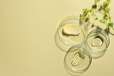 Photo of Different cosmetic products in Petri dishes and floral decor on pale yellow background, flat lay. Space for text