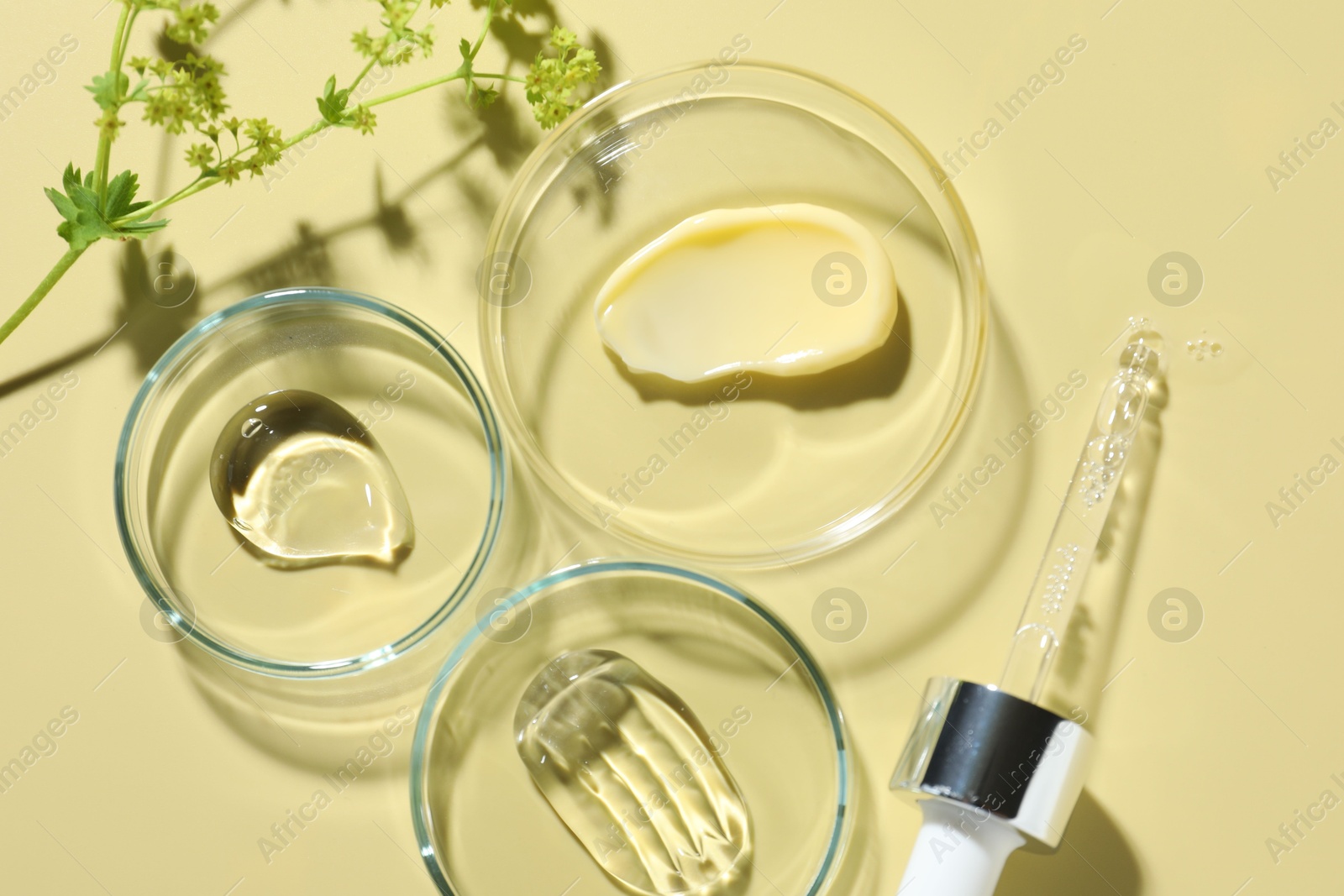 Different cosmetic products in Petri dishes, dropper and floral decor on pale yellow background, flat lay Photo of Different cosmetic products in Petri dishes, dropper and floral decor on pale yellow background, flat lay