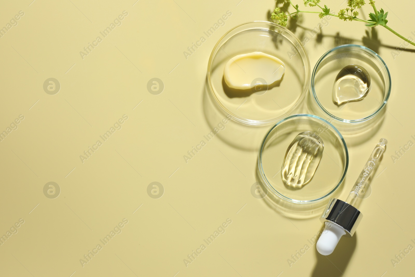 Different cosmetic products in Petri dishes, dropper and floral decor on pale yellow background, flat lay. Space for text Photo of Different cosmetic products in Petri dishes, dropper and floral decor on pale yellow background, flat lay. Space for text