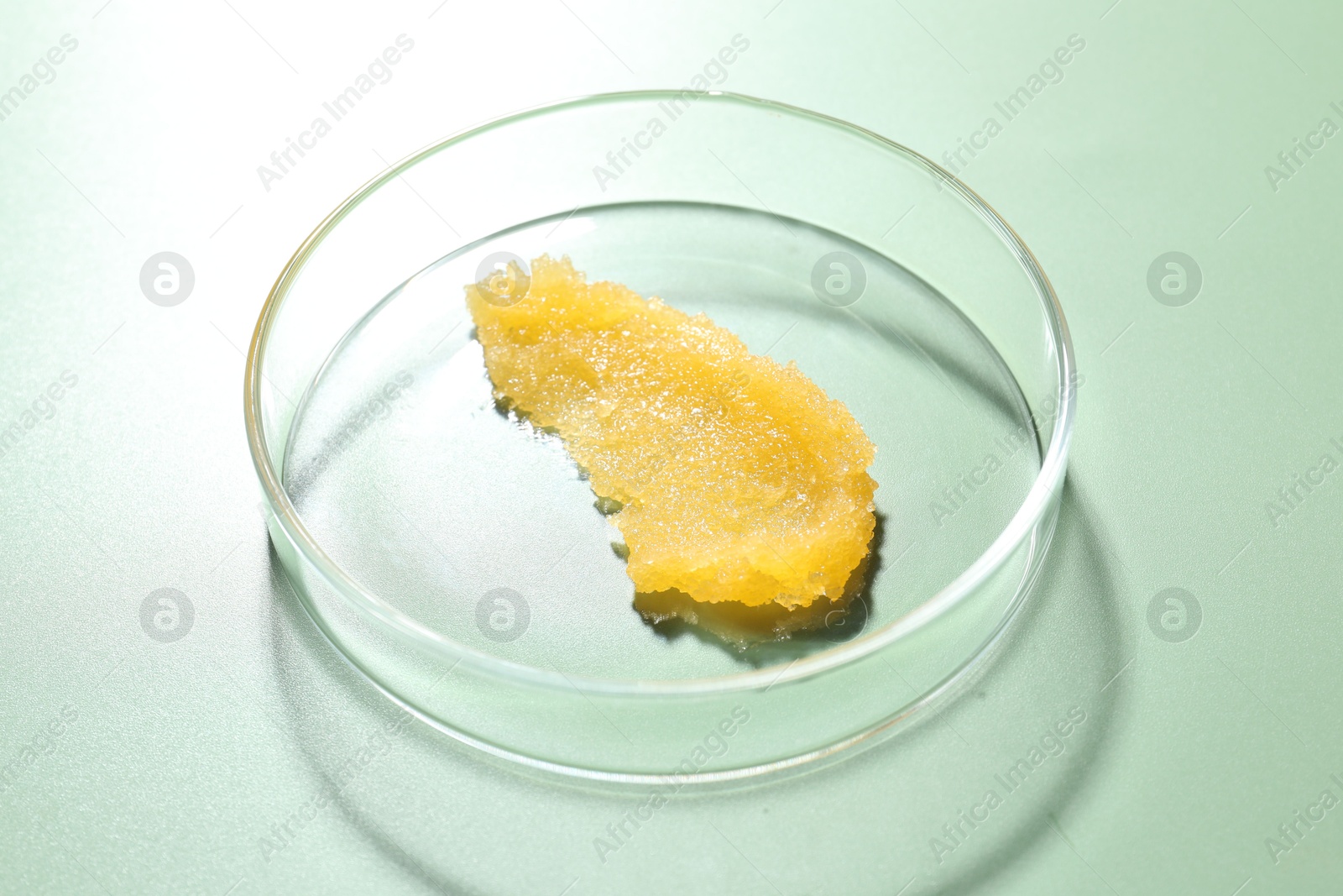 Cosmetic product in Petri dish on green background, closeup Photo of Cosmetic product in Petri dish on green background, closeup