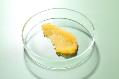 Photo of Cosmetic product in Petri dish on green background, closeup