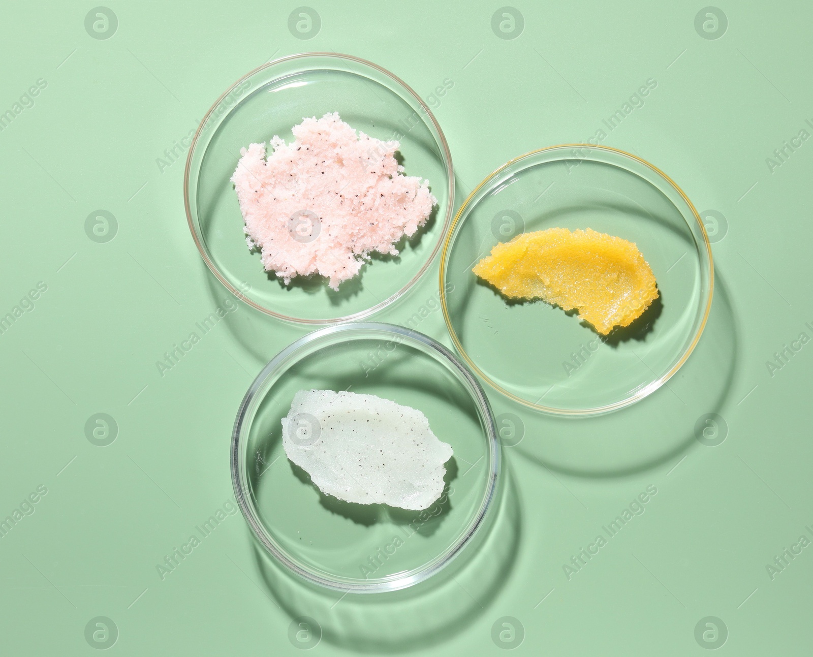 Different cosmetic products in Petri dishes on green background, flat lay Photo of Different cosmetic products in Petri dishes on green background, flat lay