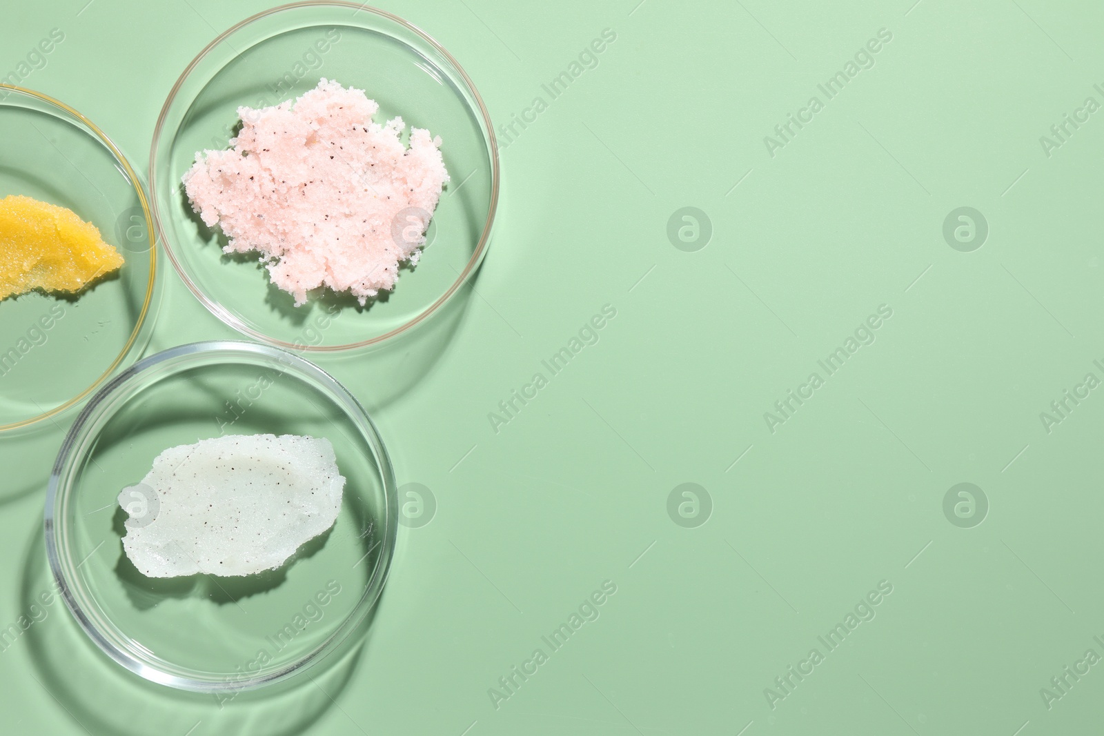 Different cosmetic products in Petri dishes on green background, flat lay. Space for text Photo of Different cosmetic products in Petri dishes on green background, flat lay. Space for text