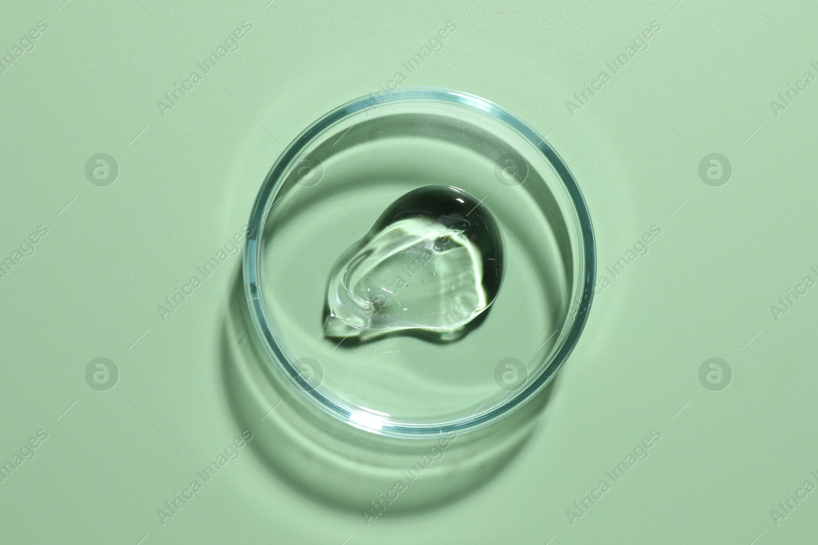 Cosmetic product in Petri dish on green background, top view Photo of Cosmetic product in Petri dish on green background, top view