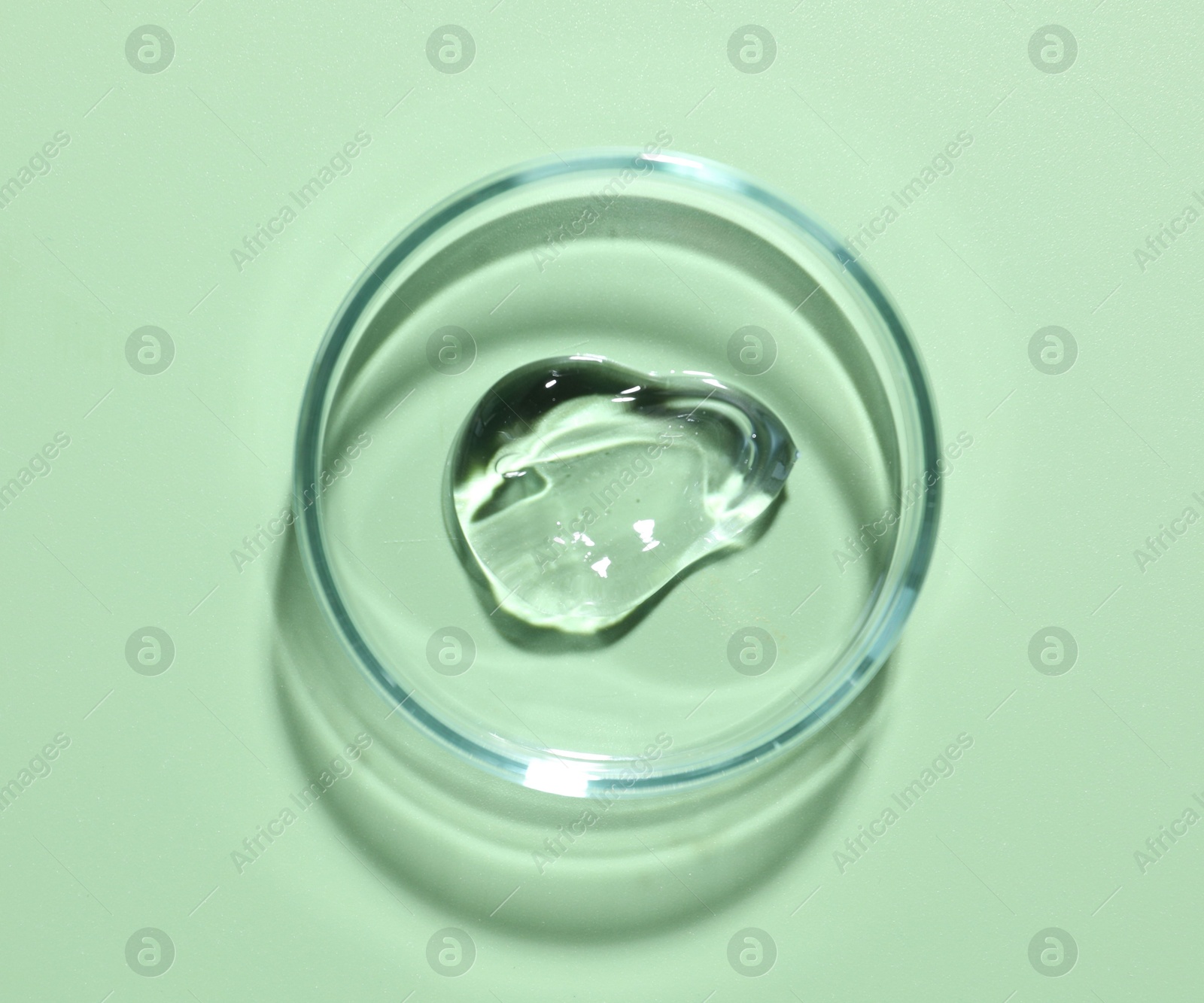 Cosmetic product in Petri dish on green background, top view Photo of Cosmetic product in Petri dish on green background, top view