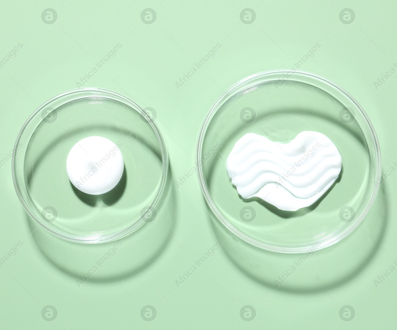Different cosmetic products in Petri dishes on green background, flat lay Photo of Different cosmetic products in Petri dishes on green background, flat lay