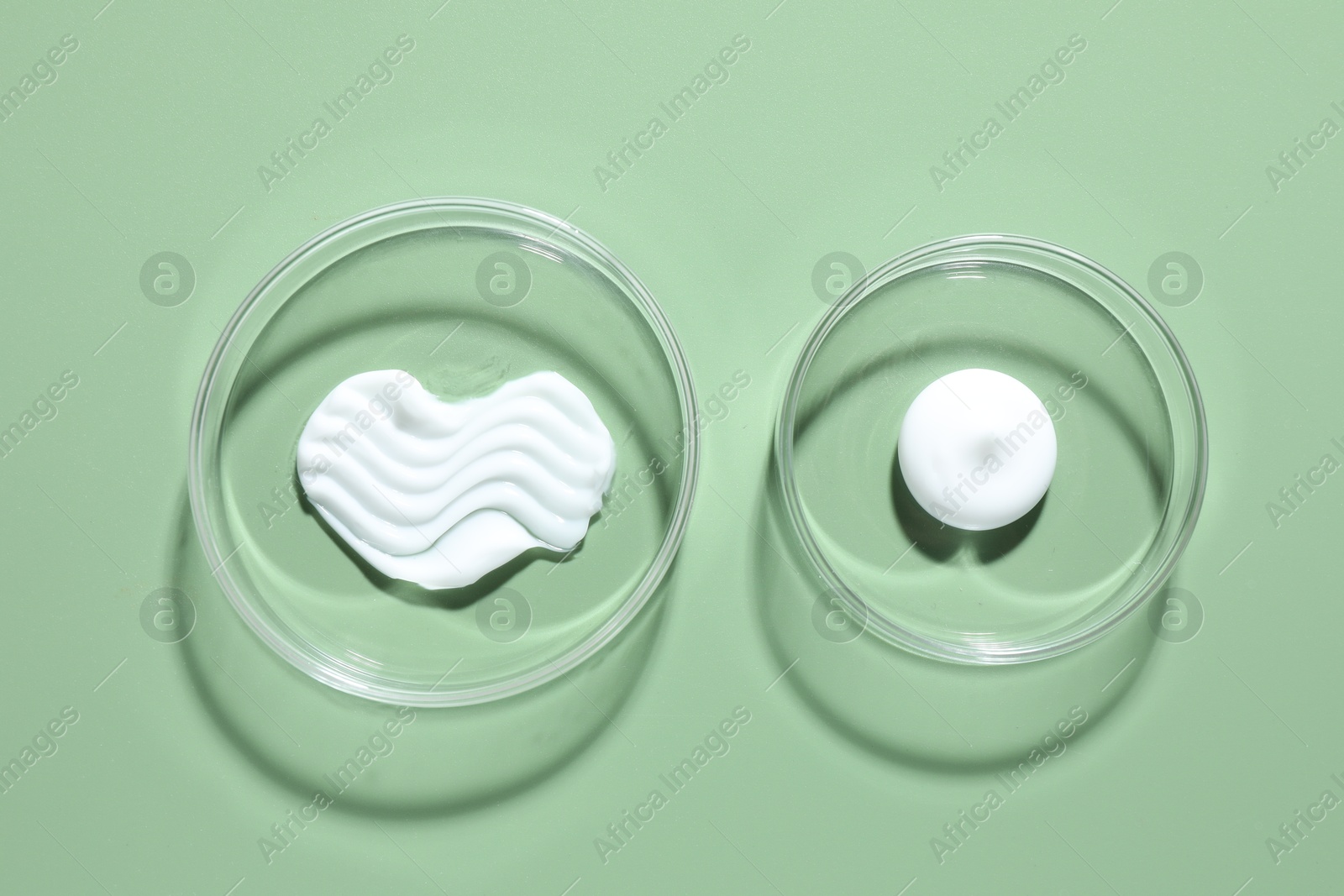Different cosmetic products in Petri dishes on green background, flat lay Photo of Different cosmetic products in Petri dishes on green background, flat lay