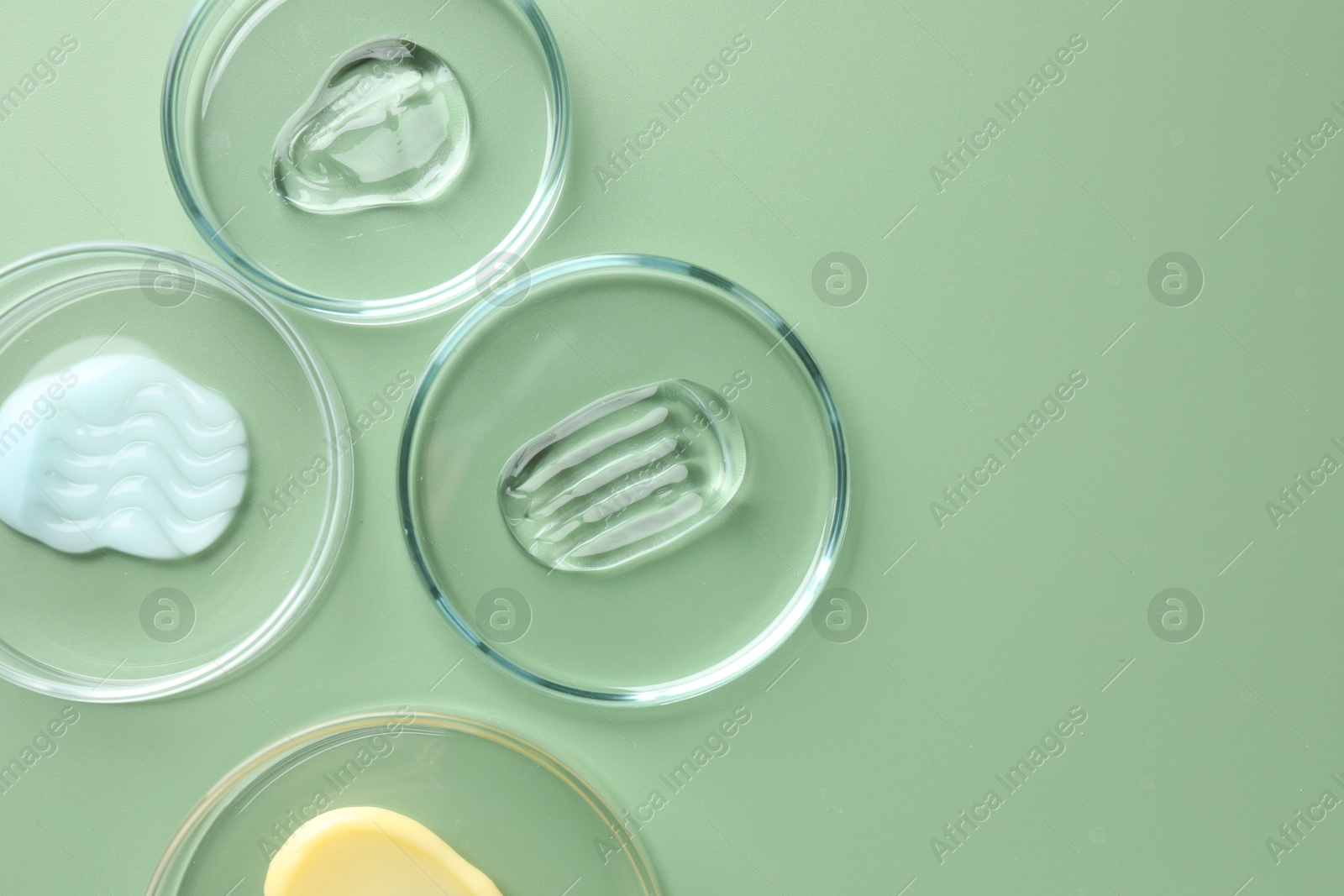 Different cosmetic products in Petri dishes on green background, flat lay. Space for text Photo of Different cosmetic products in Petri dishes on green background, flat lay. Space for text