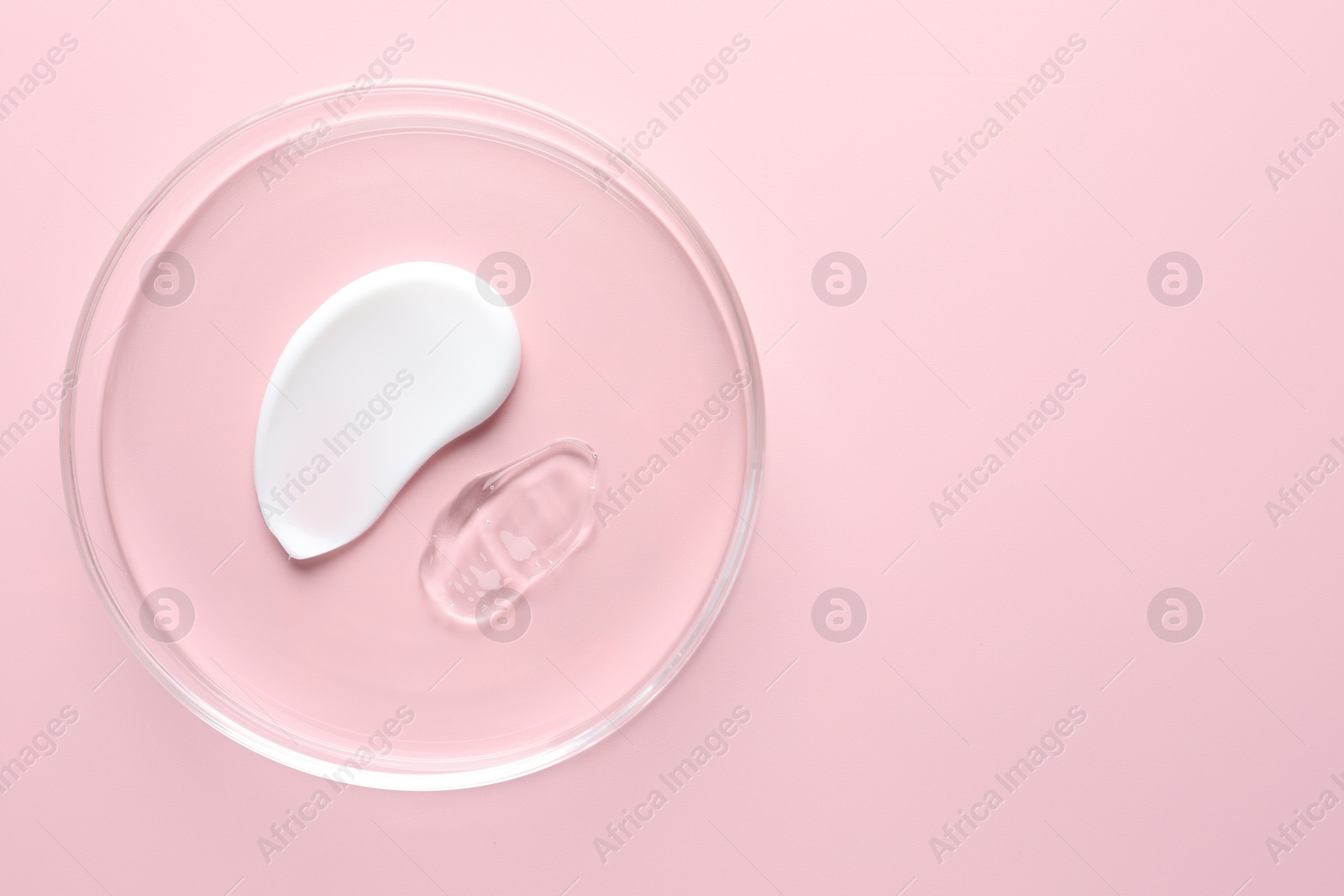 Different cosmetic products in Petri dish on pink background, top view. Space for text Photo of Different cosmetic products in Petri dish on pink background, top view. Space for text