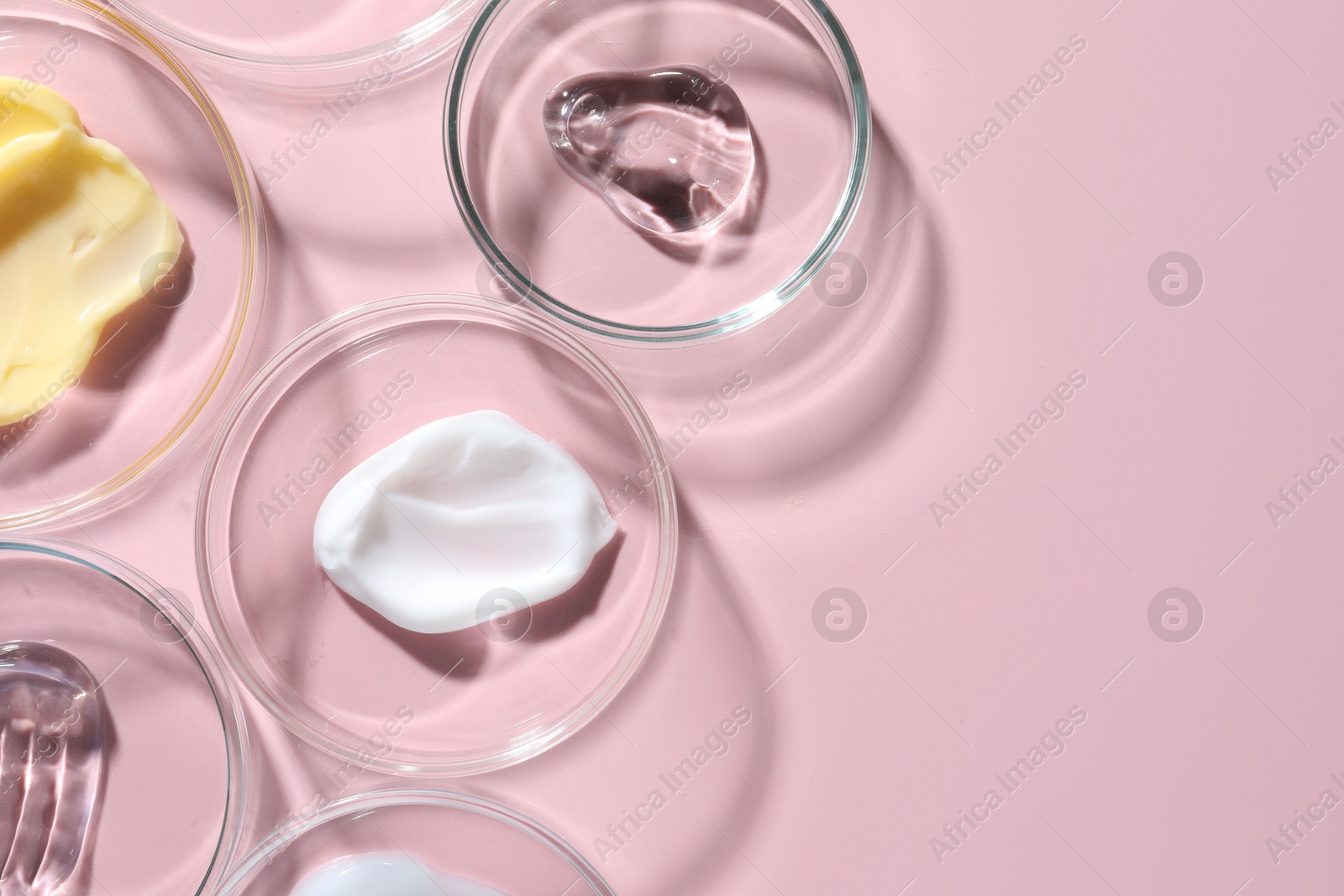 Different cosmetic products in Petri dishes on pink background, flat lay. Space for text Photo of Different cosmetic products in Petri dishes on pink background, flat lay. Space for text