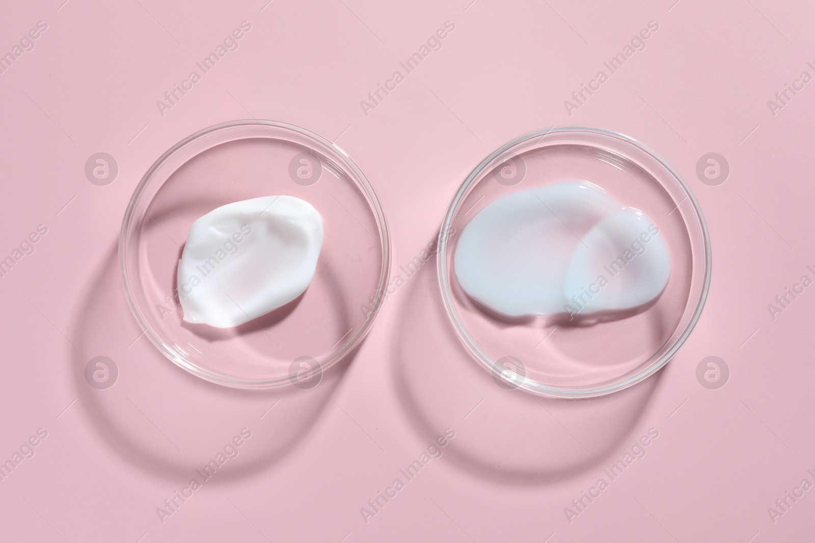 Different cosmetic products in Petri dishes on pink background, flat lay Photo of Different cosmetic products in Petri dishes on pink background, flat lay