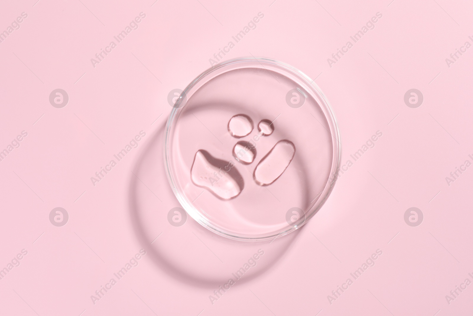 Cosmetic product in Petri dish on pink background, top view Photo of Cosmetic product in Petri dish on pink background, top view