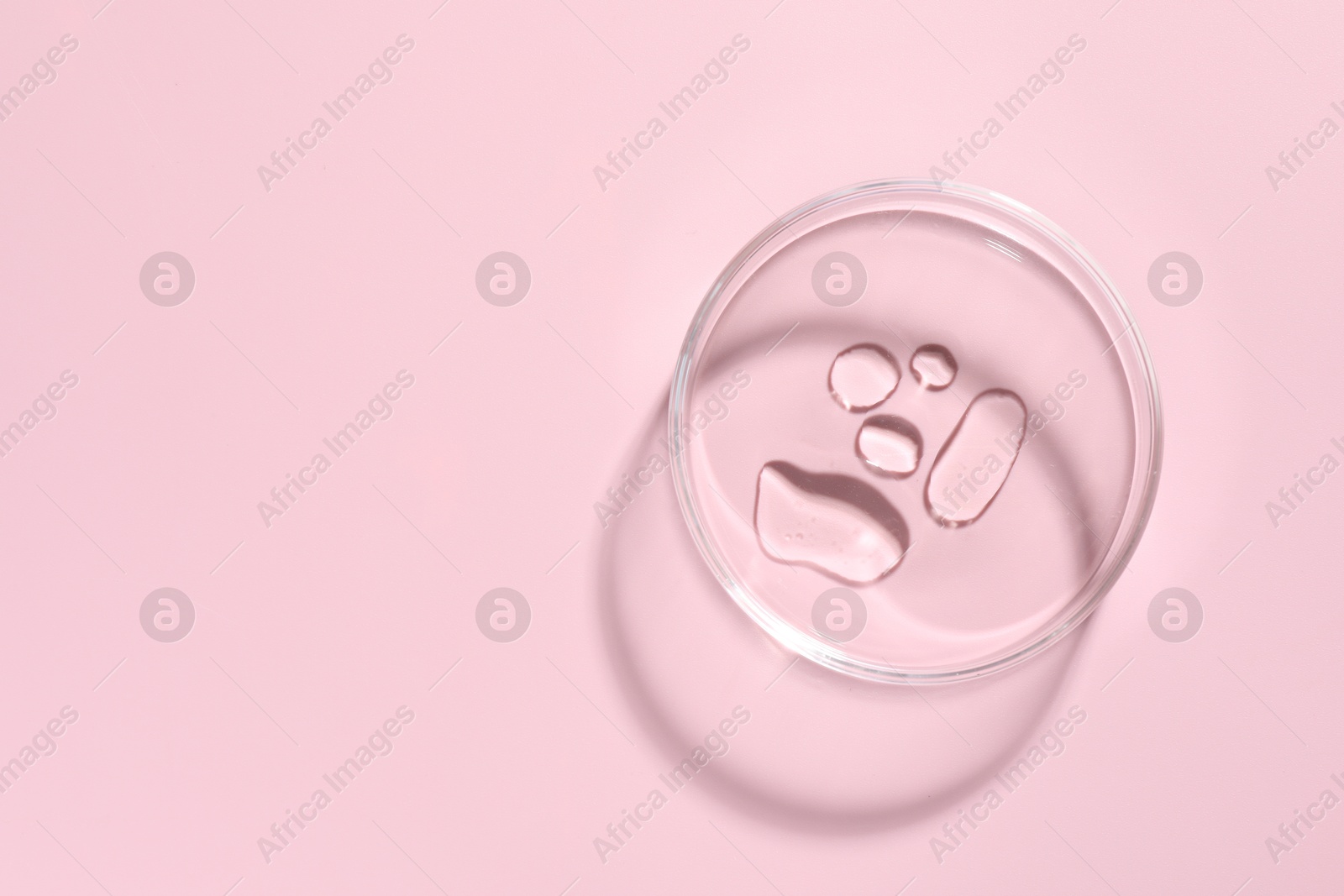 Cosmetic product in Petri dish on pink background, top view. Space for text Photo of Cosmetic product in Petri dish on pink background, top view. Space for text